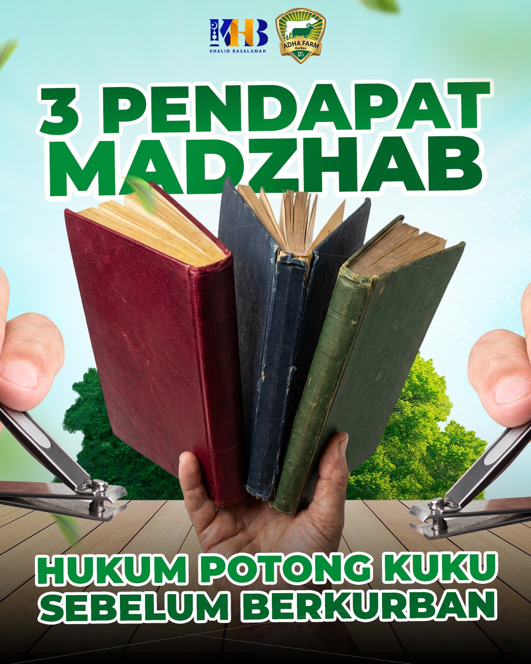 3 PENDAPAT MADZHAB HUKUM POTONG KUKU SEBELUM BERKURBAN